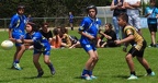 Tournoi de Toulouges